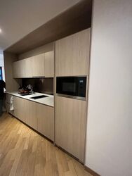 Duo Residences (D7), Apartment #419924151